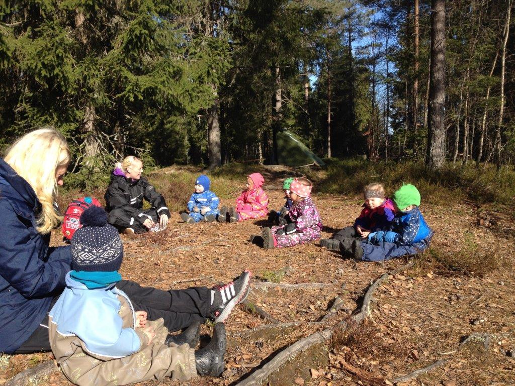 Rasteplass i skogen