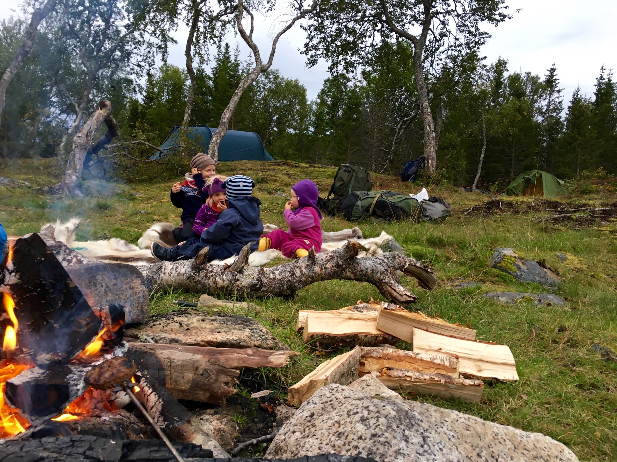 Gode matvaner starter tidlig!