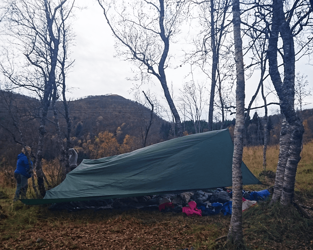 Hoppensprett Stokmarknes utekos