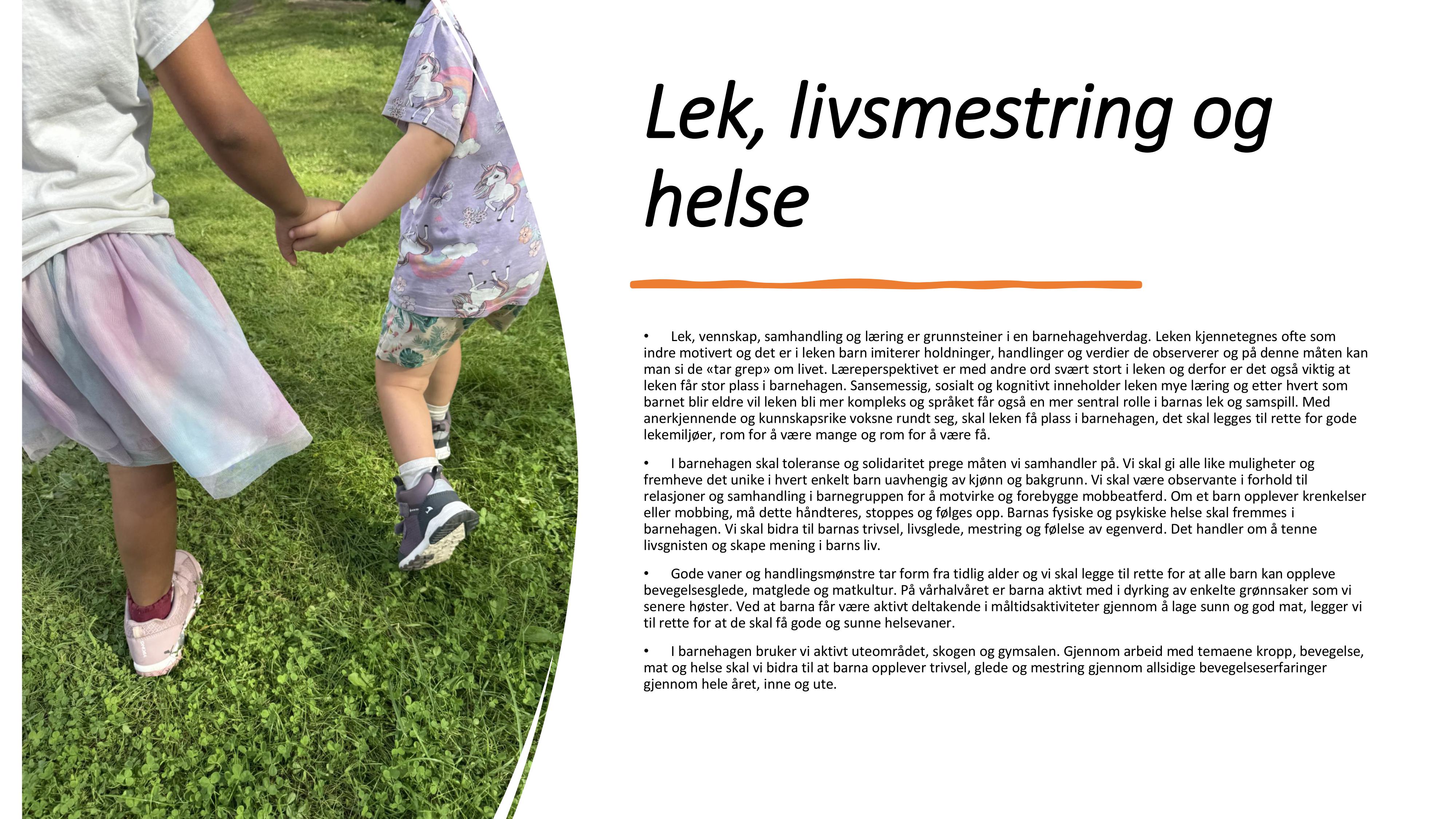 Hoppensprett Udnes Naturbarnehage, Lokale årsplan - godkjent av SU 2025-images-10
